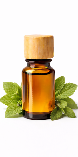 etericna-ulja/maticnjak_1